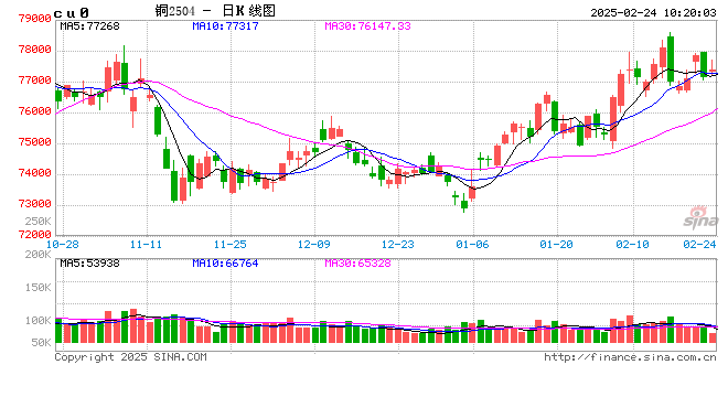 光大期货:2月24日有色金属日报