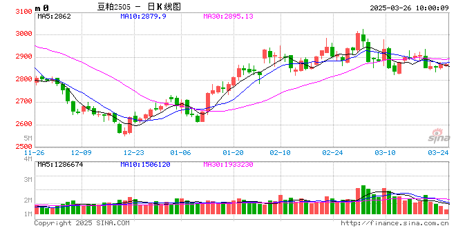 豆粕现货价格大幅下跌，影响后市的关键因素是