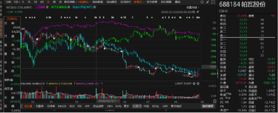 帕瓦股份信披翻车！