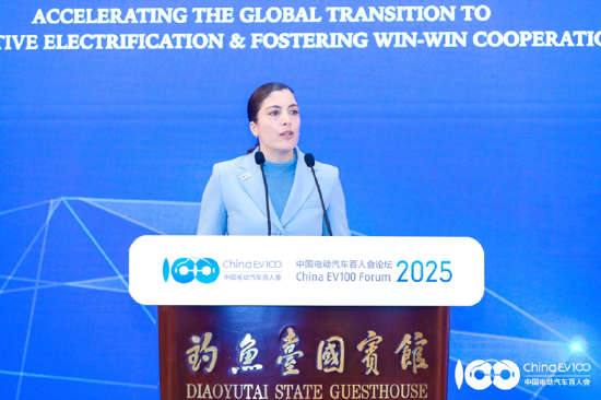 国际论坛顺利召开，共议全球汽车电动化合作、转型之策｜百人会论坛2025