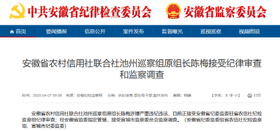 安徽省农村信用社联合社池州巡察组原组长陈梅被查