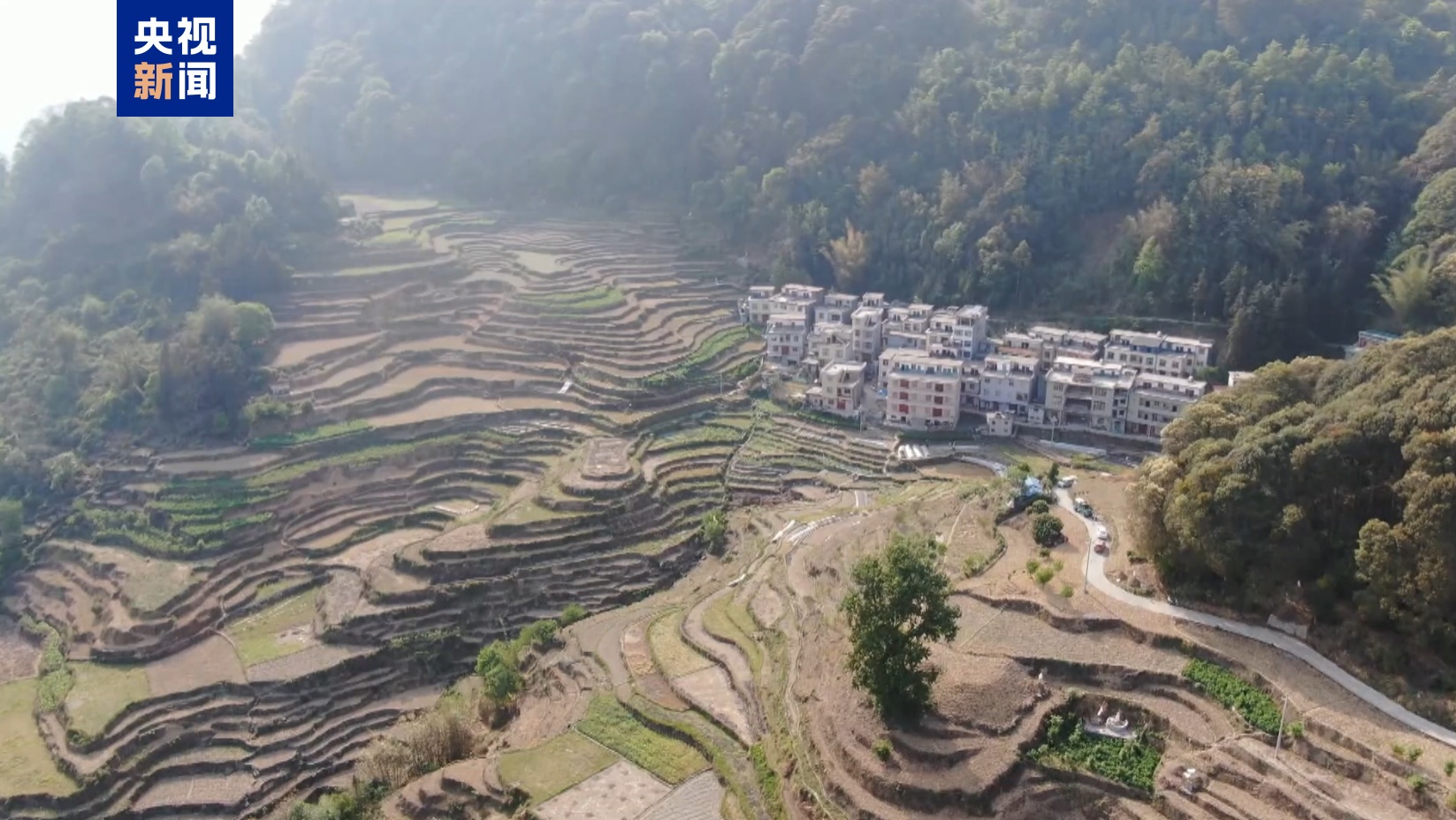 广西河池持续旱情影响7万亩农田 多部门紧急送水保民生