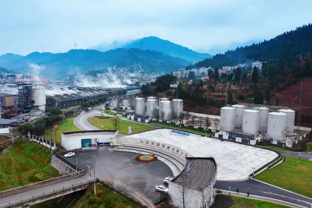 原酒基因解码白酒新消费，川酒集团破译个性化需求密码