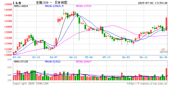 云评论 | 生猪：期货为啥突然大涨？