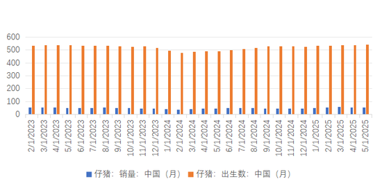 云评论 | 生猪：期货为啥突然大涨？