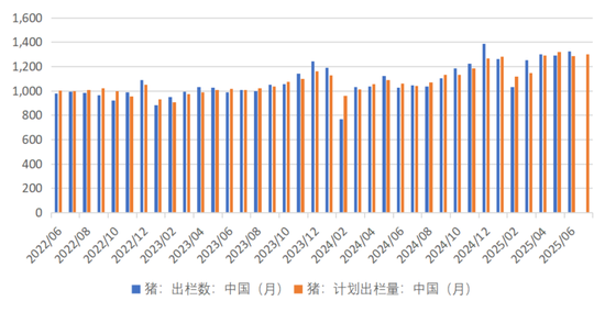 云评论 | 生猪：期货为啥突然大涨？