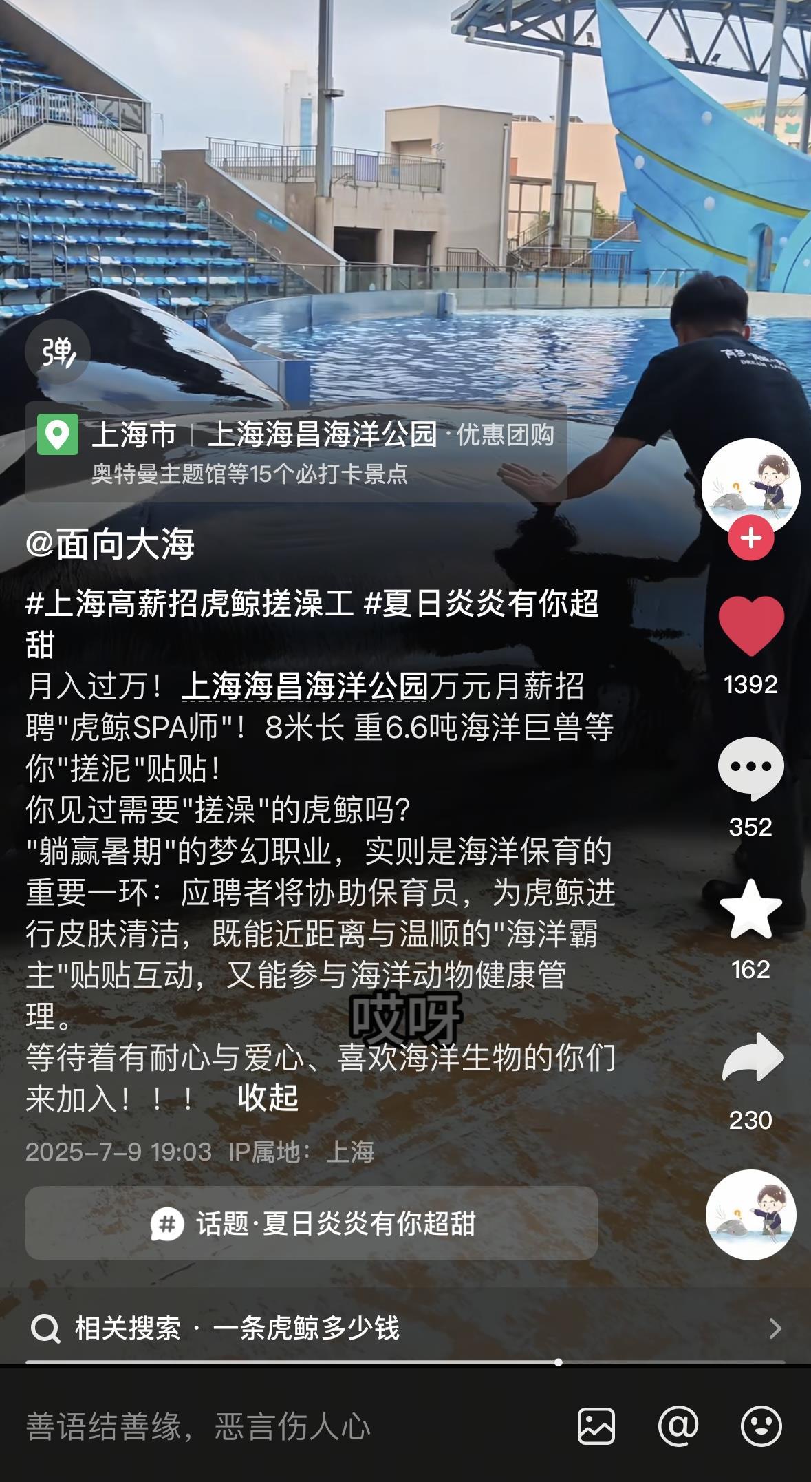 上海一海洋公园“万元招聘虎鲸搓澡师”？园方回应