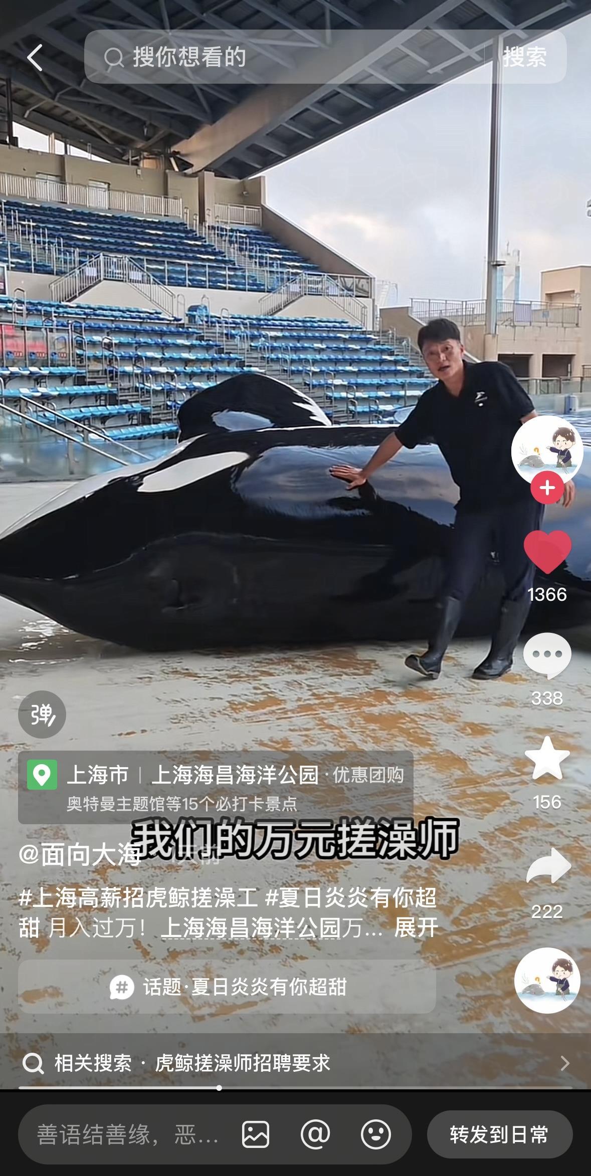 上海一海洋公园“万元招聘虎鲸搓澡师”？园方回应