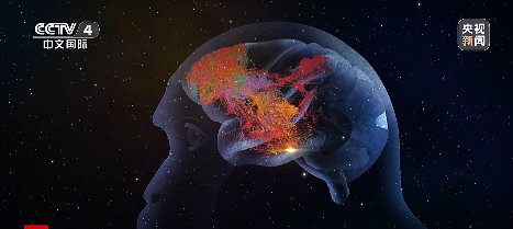 我国科学家在世界上首次绘制！事关脑科学