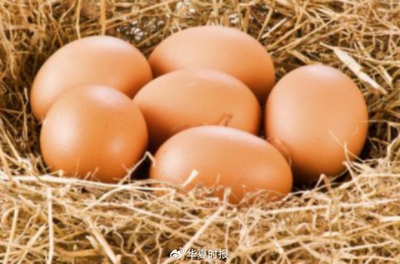鸡蛋期货重回3000元关口，贸易商抛售冷库蛋，9月消费能否点燃