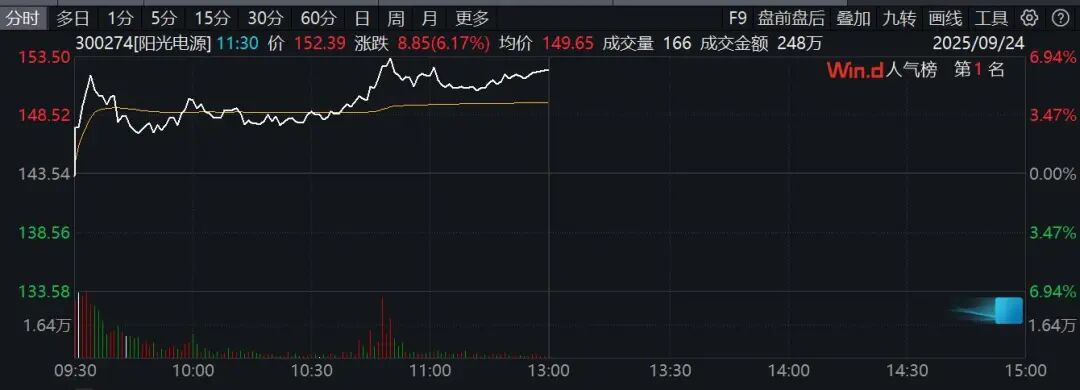 储能概念“龙头”异动拉升！300274，市值突破3000亿元！