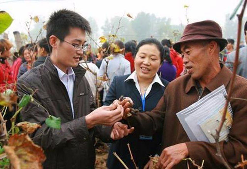 大学生毕业在村里工作好吗