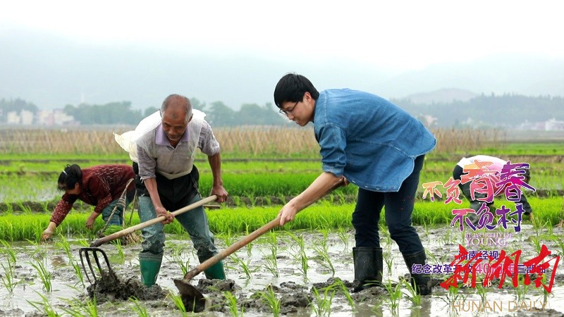 大学生毕业在村里工作好吗