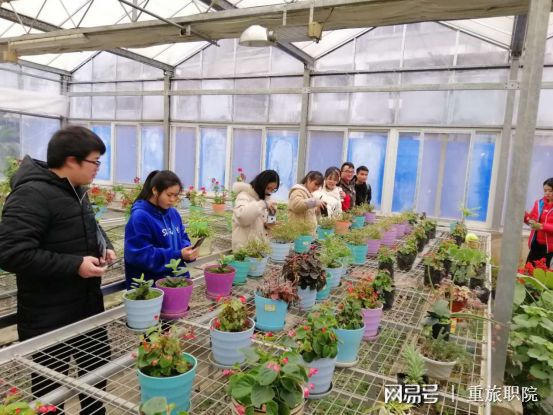 园林专业毕业后都去做什么工作了好