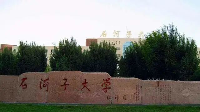 塔里木大学是985211吗