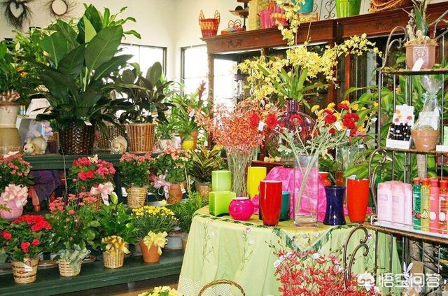 园艺技术毕业以后找什么工作好 园艺技术毕业以后找什么工作好