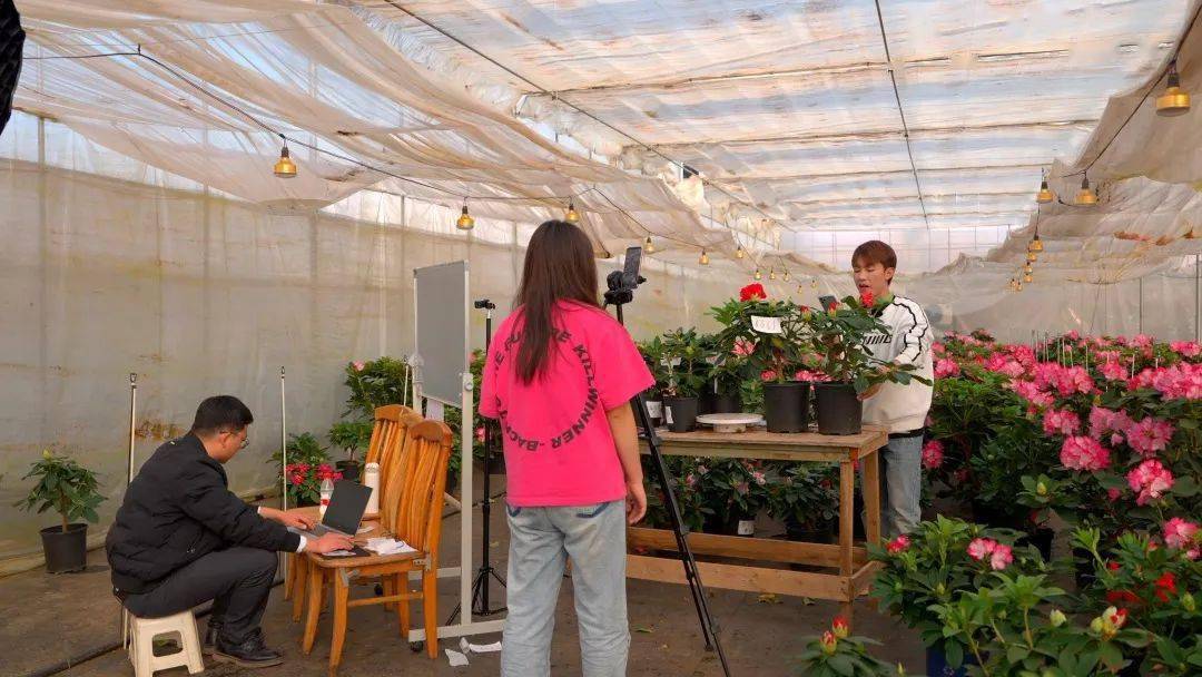 大学毕业后回到家乡 大学毕业后回到家乡