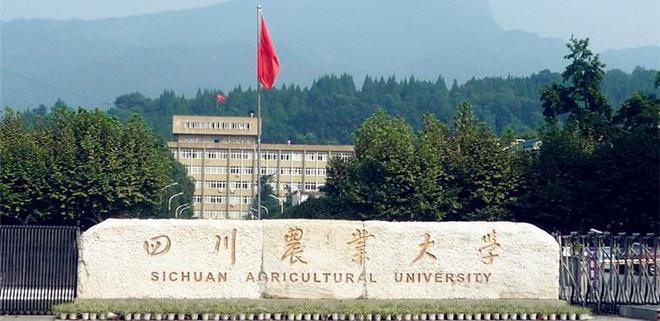 偏僻的一本大学