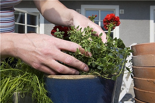 园艺毕业后做什么工作最好的简单介绍 园艺毕业后做什么工作最好的简单介绍