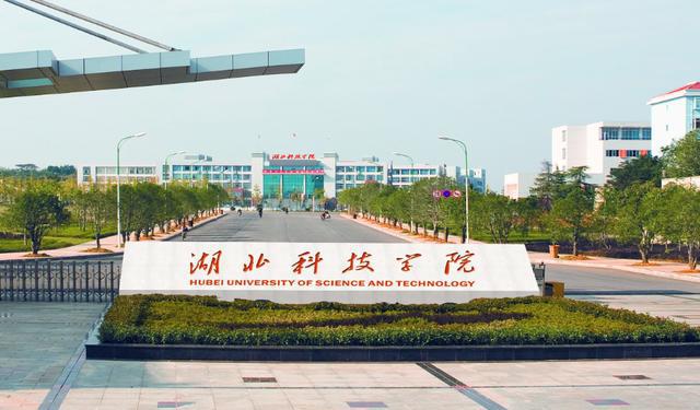 黄冈大学毕业后回武汉工作好找吗