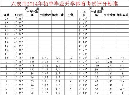 六安中考分数查询入口官网