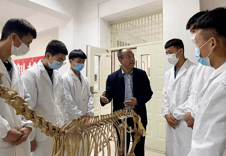 兽医专业毕业后做什么工作好呢 兽医专业毕业后做什么工作好呢