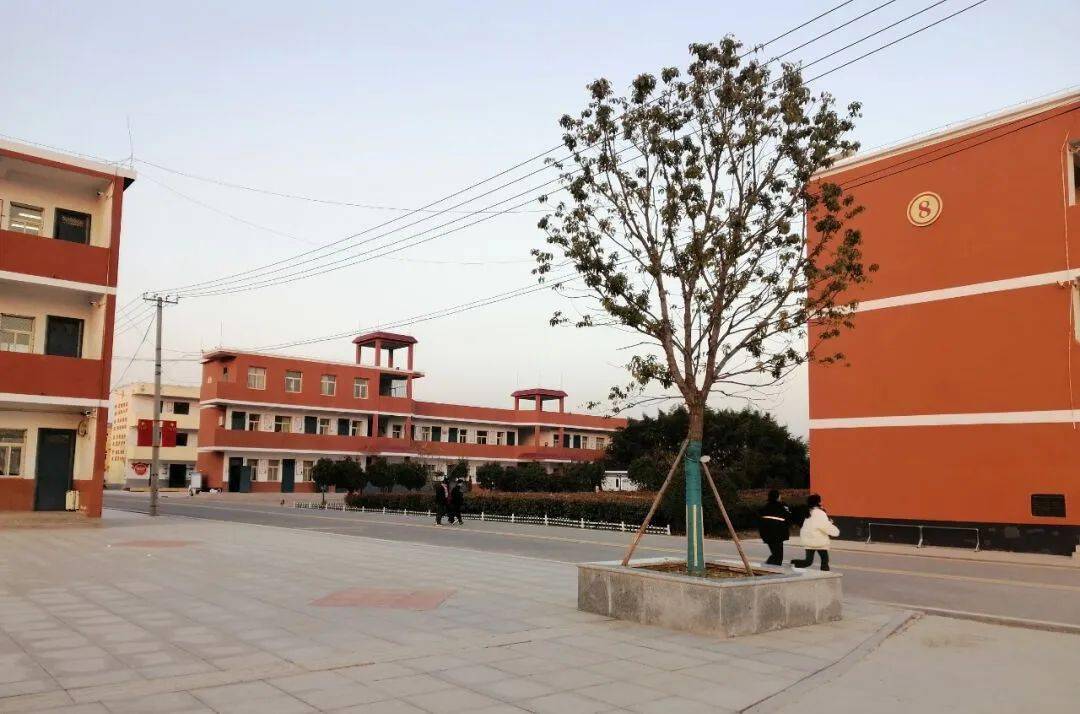 灵璧中考分数线2023年查询 灵璧中考分数线2023年查询