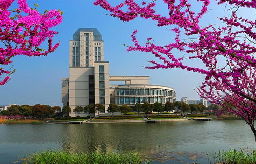 中国有哪些大学有剪辑专业