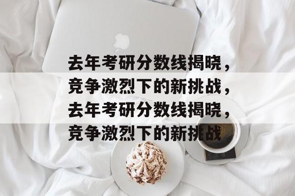 去年考研分数线揭晓，竞争激烈下的新挑战，去年考研分数线揭晓，竞争激烈下的新挑战