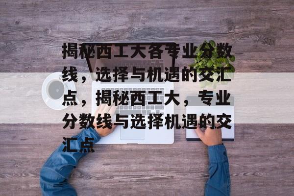 揭秘西工大各专业分数线，选择与机遇的交汇点，揭秘西工大，专业分数线与选择机遇的交汇点