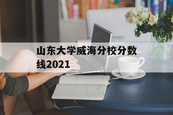 山东大学威海分校分数线2021