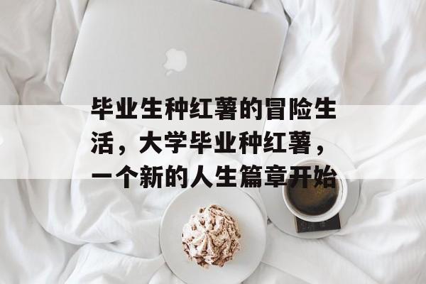 毕业生种红薯的冒险生活，大学毕业种红薯，一个新的人生篇章开始