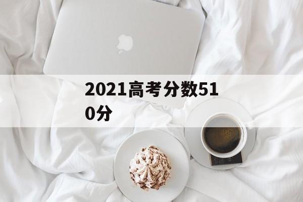 2021高考分数510分