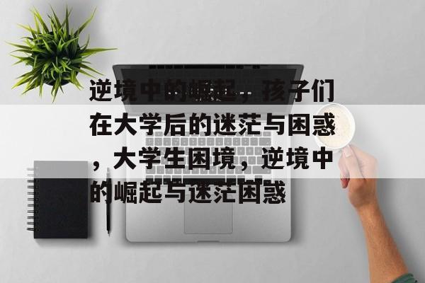 逆境中的崛起，孩子们在大学后的迷茫与困惑，大学生困境，逆境中的崛起与迷茫困惑