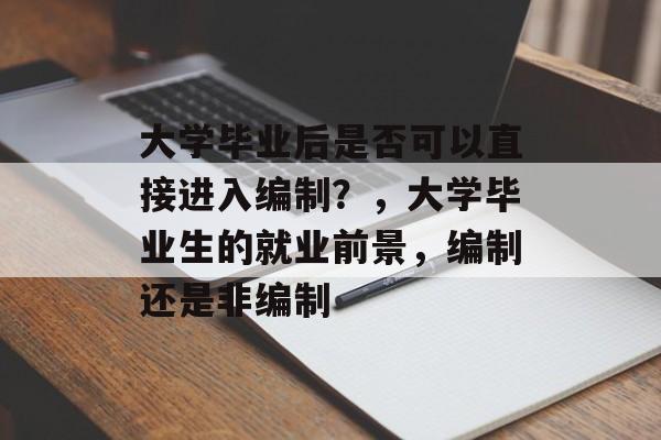 大学毕业后是否可以直接进入编制？，大学毕业生的就业前景，编制还是非编制