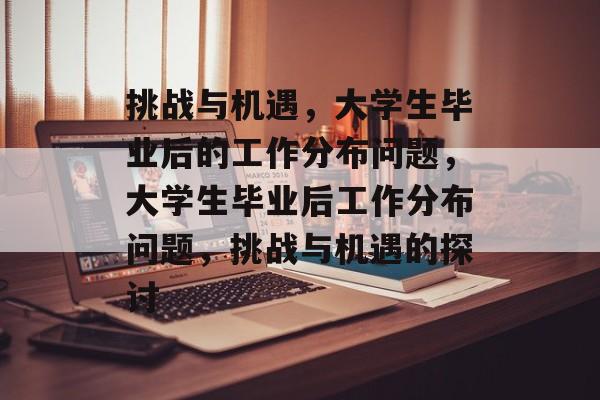 挑战与机遇，大学生毕业后的工作分布问题，大学生毕业后工作分布问题，挑战与机遇的探讨