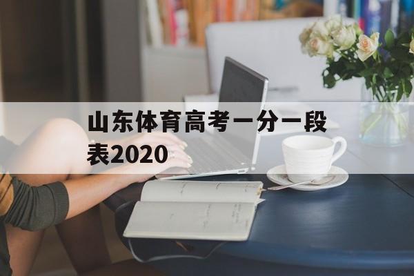 山东体育高考一分一段表2020