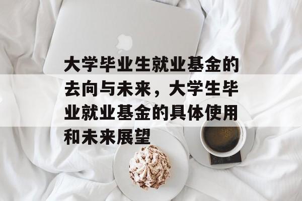 大学毕业生就业基金的去向与未来，大学生毕业就业基金的具体使用和未来展望