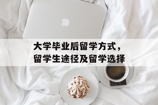 大学毕业后留学方式,留学生途径及留学选择 大学毕业后留学方式,留学生途径及留学选择