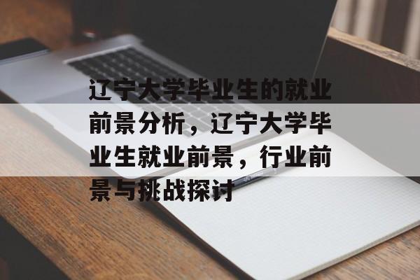 辽宁大学毕业生的就业前景分析，辽宁大学毕业生就业前景，行业前景与挑战探讨