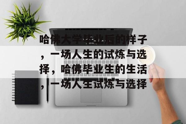 哈佛大学毕业后的样子，一场人生的试炼与选择，哈佛毕业生的生活，一场人生试炼与选择