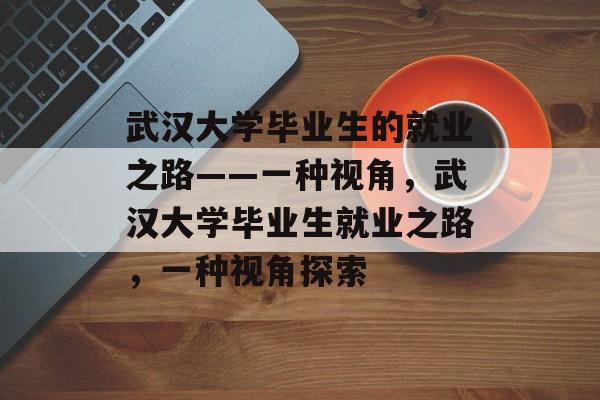武汉大学毕业生的就业之路——一种视角，武汉大学毕业生就业之路，一种视角探索