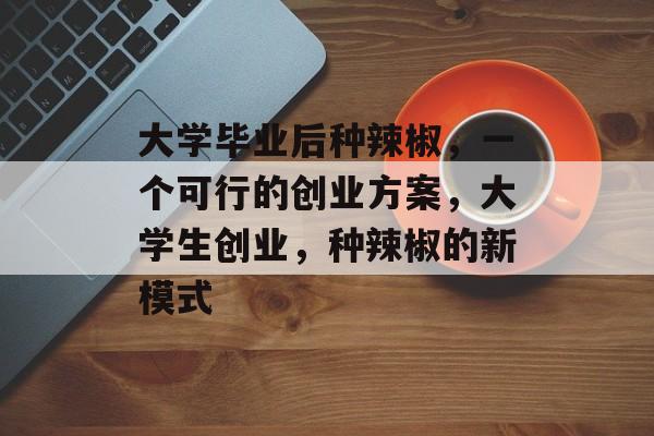 大学毕业后种辣椒,一个可行的创业方案,大学生创业,种辣椒的新模式 大学毕业后种辣椒,一个可行的创业方案,大学生创业,种辣椒的新模式
