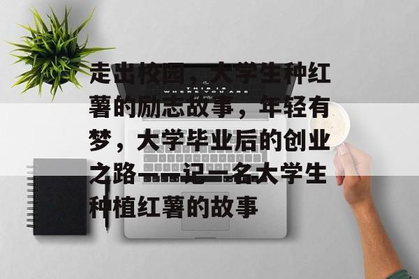 走出校园,大学生种红薯的励志故事,年轻有梦,大学毕业后的创业之路——记一名大学生种植红薯的故事 走出校园,大学生种红薯的励志故事,年轻有梦,大学毕业后的创业之路——记一名大学生种植红薯的故事