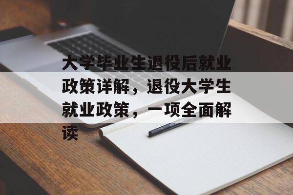 大学毕业生退役后就业政策详解，退役大学生就业政策，一项全面解读