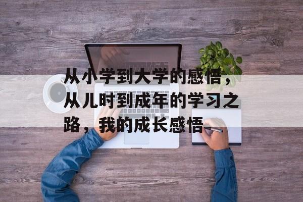 从小学到大学的感悟，从儿时到成年的学习之路，我的成长感悟