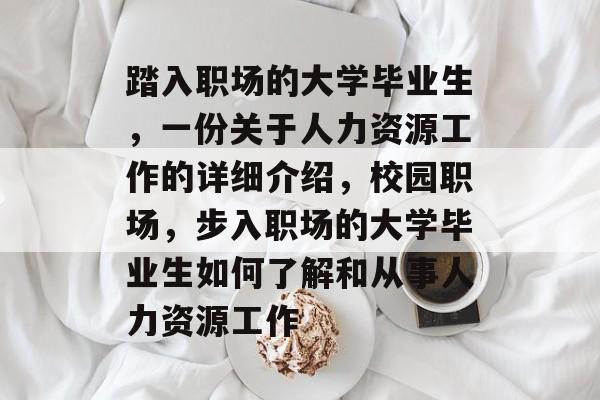 踏入职场的大学毕业生，一份关于人力资源工作的详细介绍，校园职场，步入职场的大学毕业生如何了解和从事人力资源工作