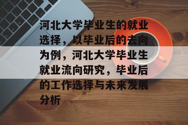 河北大学毕业生的就业选择，以毕业后的去向为例，河北大学毕业生就业流向研究，毕业后的工作选择与未来发展分析