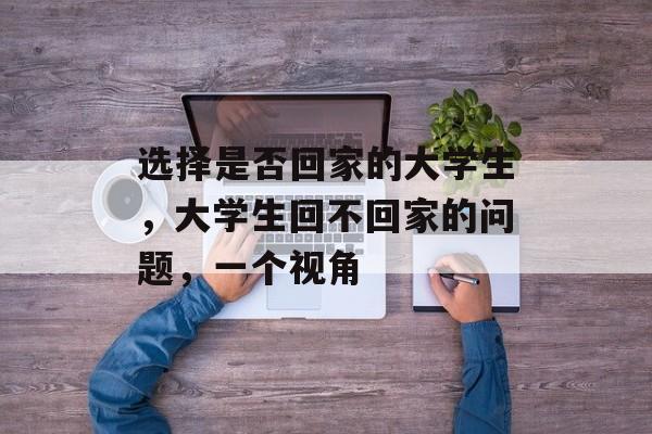选择是否回家的大学生，大学生回不回家的问题，一个视角