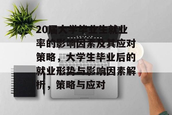 20届大学毕业生就业率的影响因素及其应对策略，大学生毕业后的就业形势与影响因素解析，策略与应对